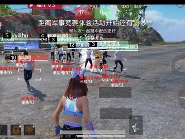火焰鸟开挂免费下载 - 实用型多功能科技辅助